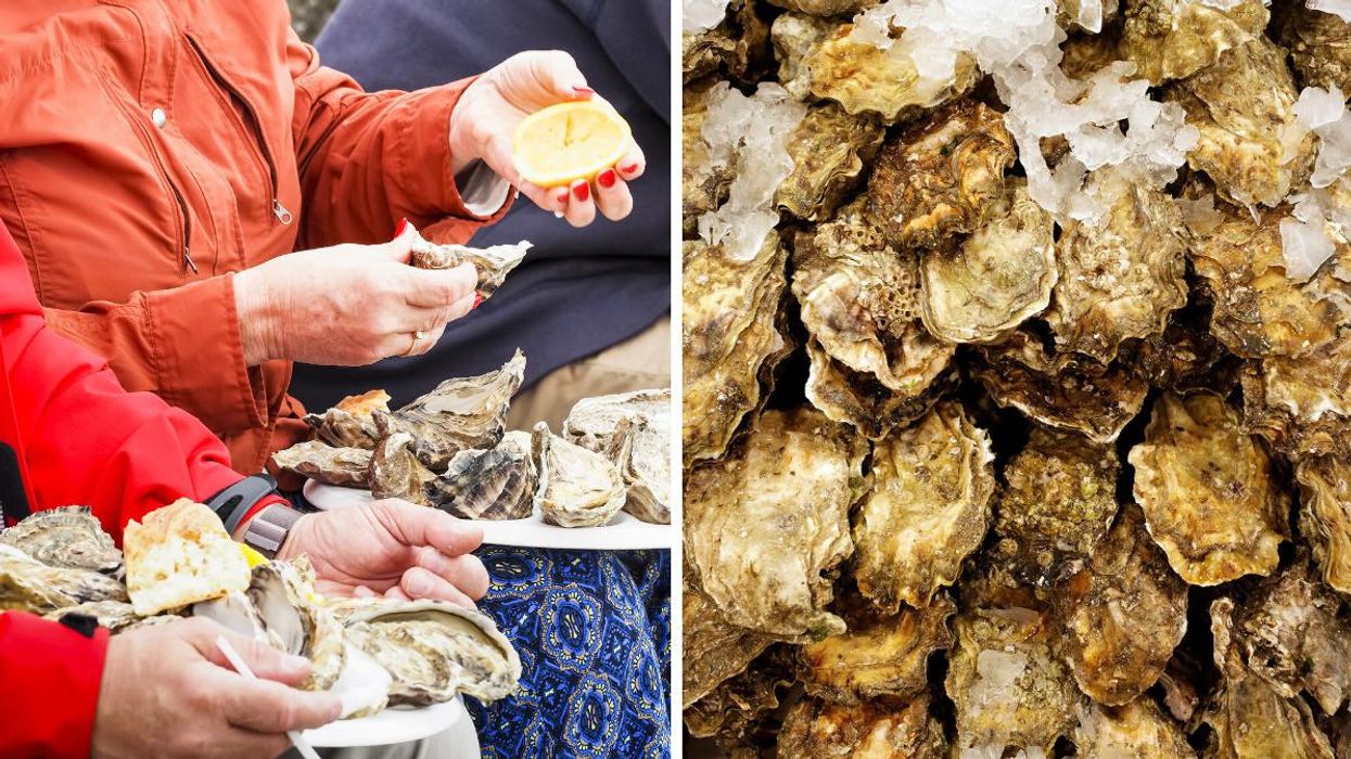 People eating raw oysters. Right: Oysters on ice.