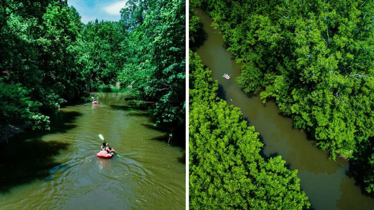People floating in tubes on a river.