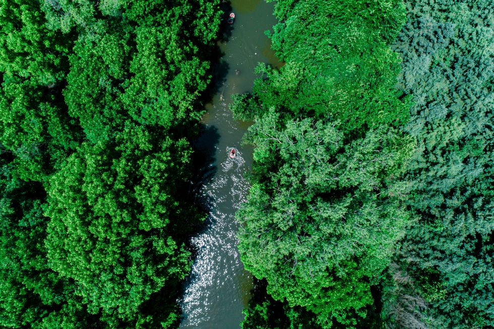 People floating in tubes on a river.