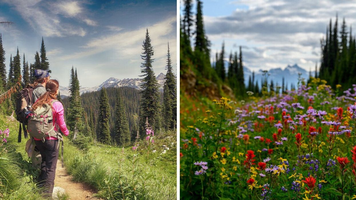 People hiking in Mount Revelstoke National Park. Right: Wildflowers on Meadows in the Sky Parkway.