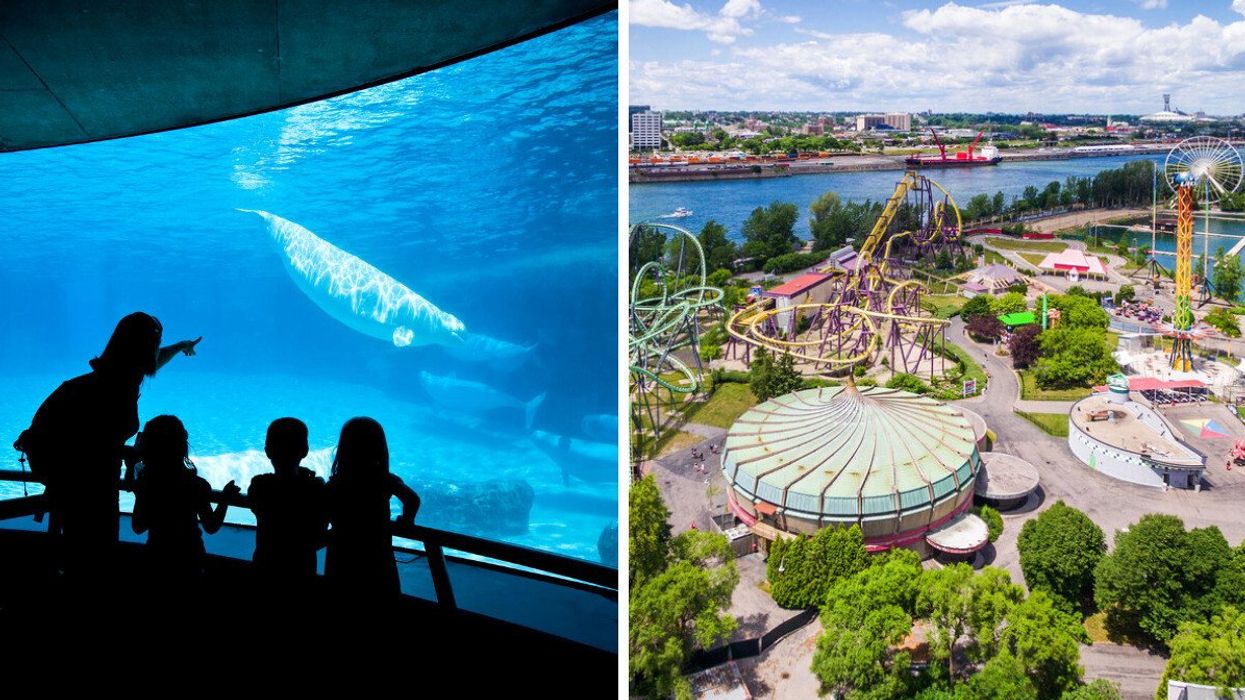 People look at marine animals. Right: An amusement park in Canada.
