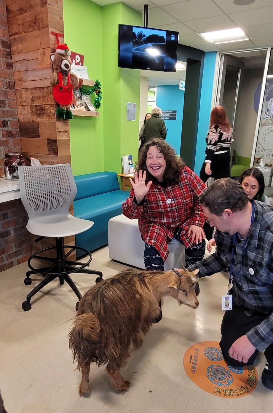 People petting a goat in an office.