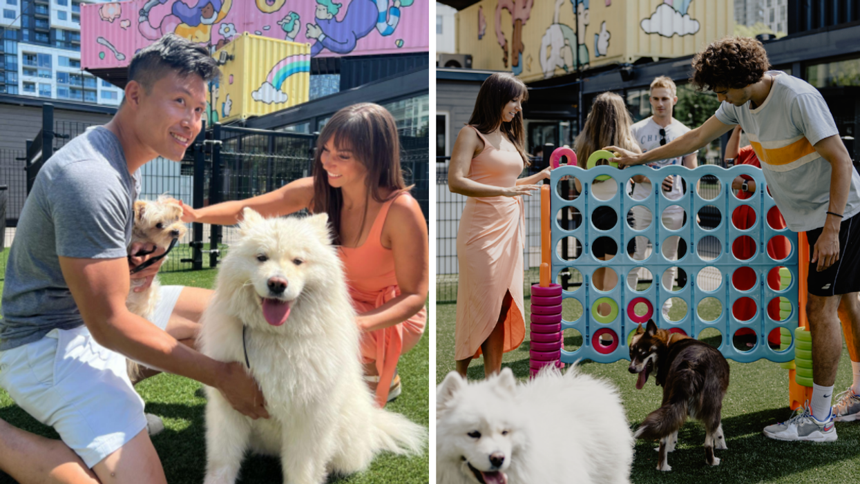 People playing with dogs at a park. Right: People playing Connect 4.