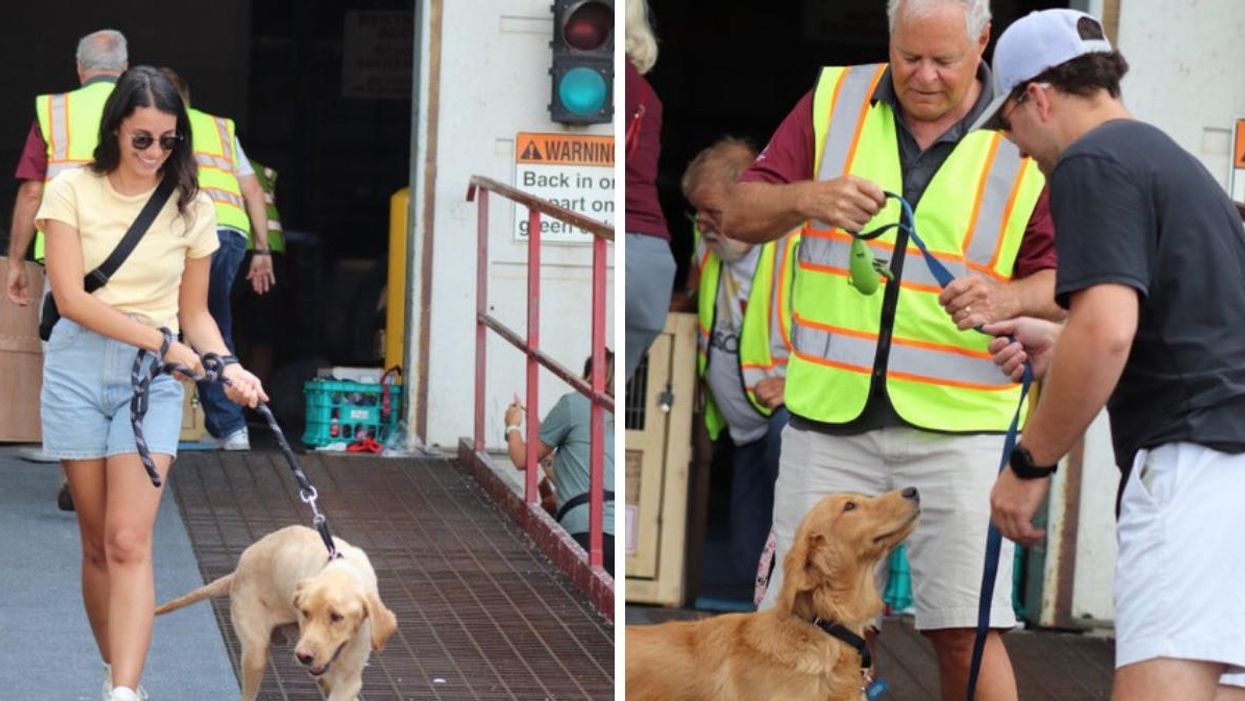 People seeing their dogs for the first time at Toronto's Pearson Airport.