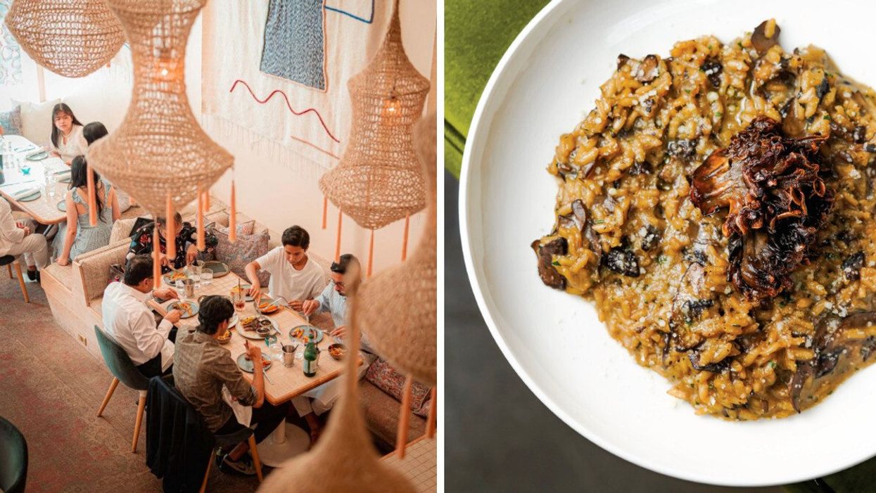 People sitting at a table in a restaurant with beautiful decor hanging from the ceiling. Right: A pasta on a plate with truffle and a creamy sauce.