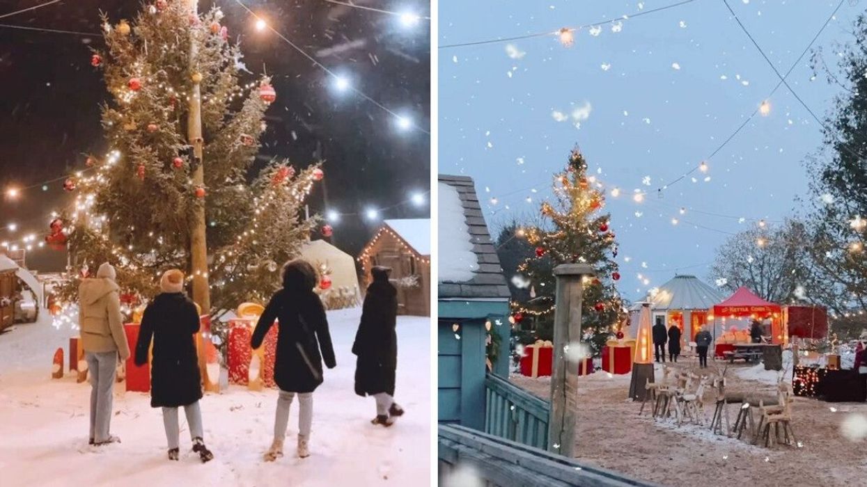 People standing around a Christmas tree. Right: A Christmas farm.