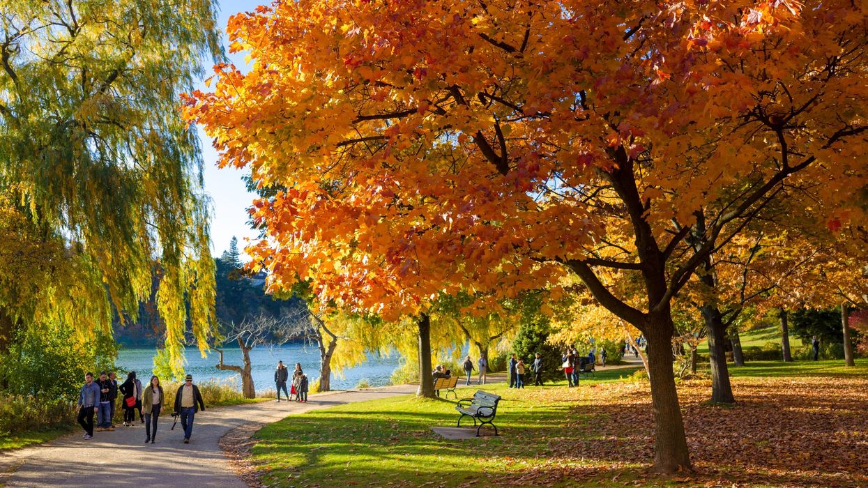 People walk through a park in Toronto on a warm fall day (illustrative).