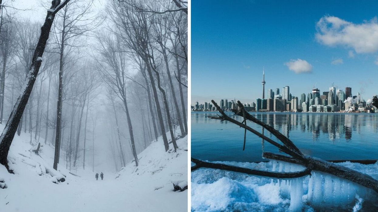 People walk through a snow-covered forest. Right: Toronto in winter.
