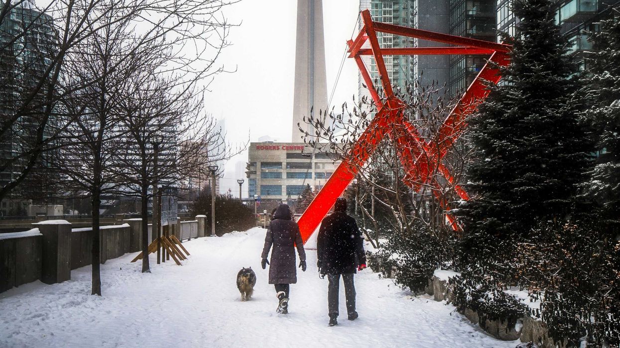people walking a dog on a snow covered sidewalk in toronto in front of rogers centre and cn tower