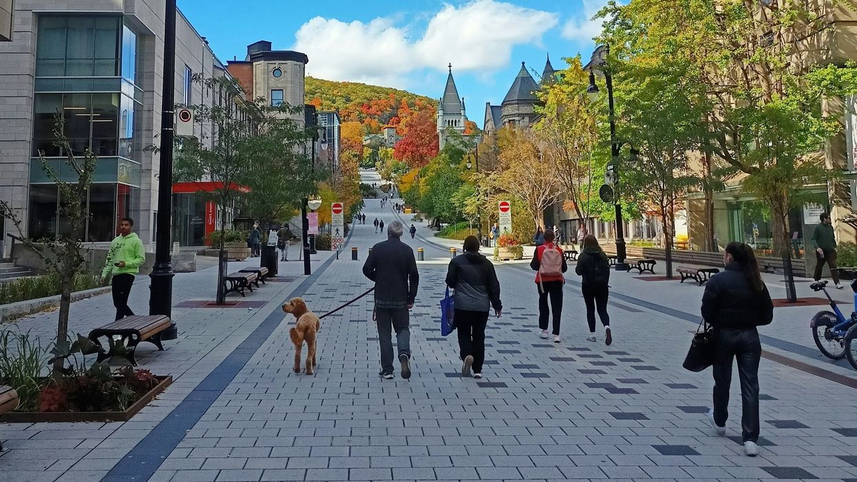 people walking on a university campus street