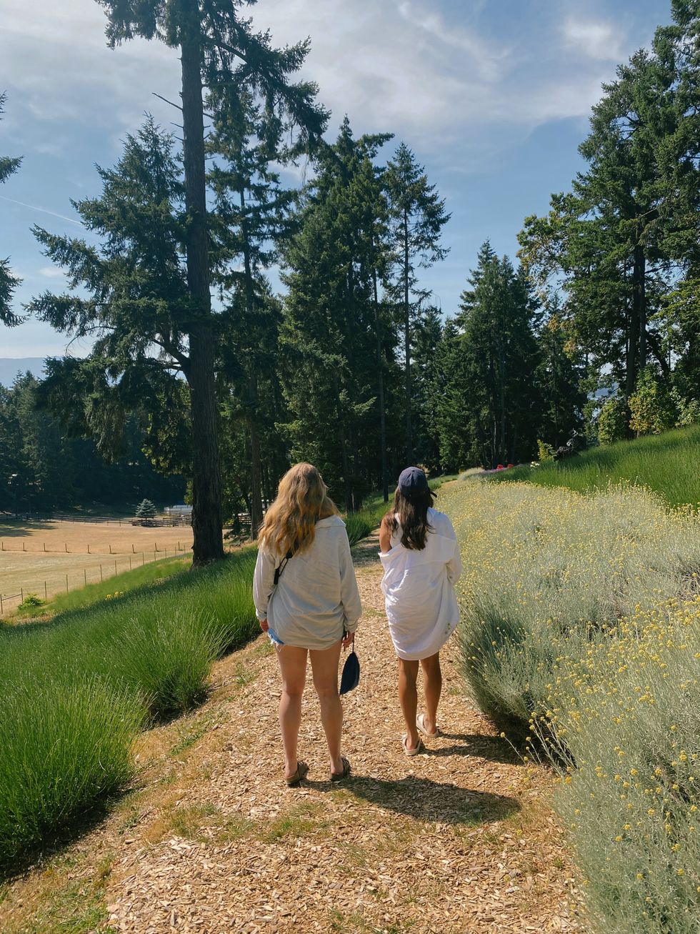 People walking through a garden.