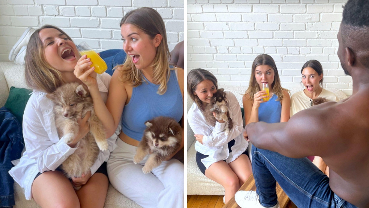 People with puppies enjoying a performance.