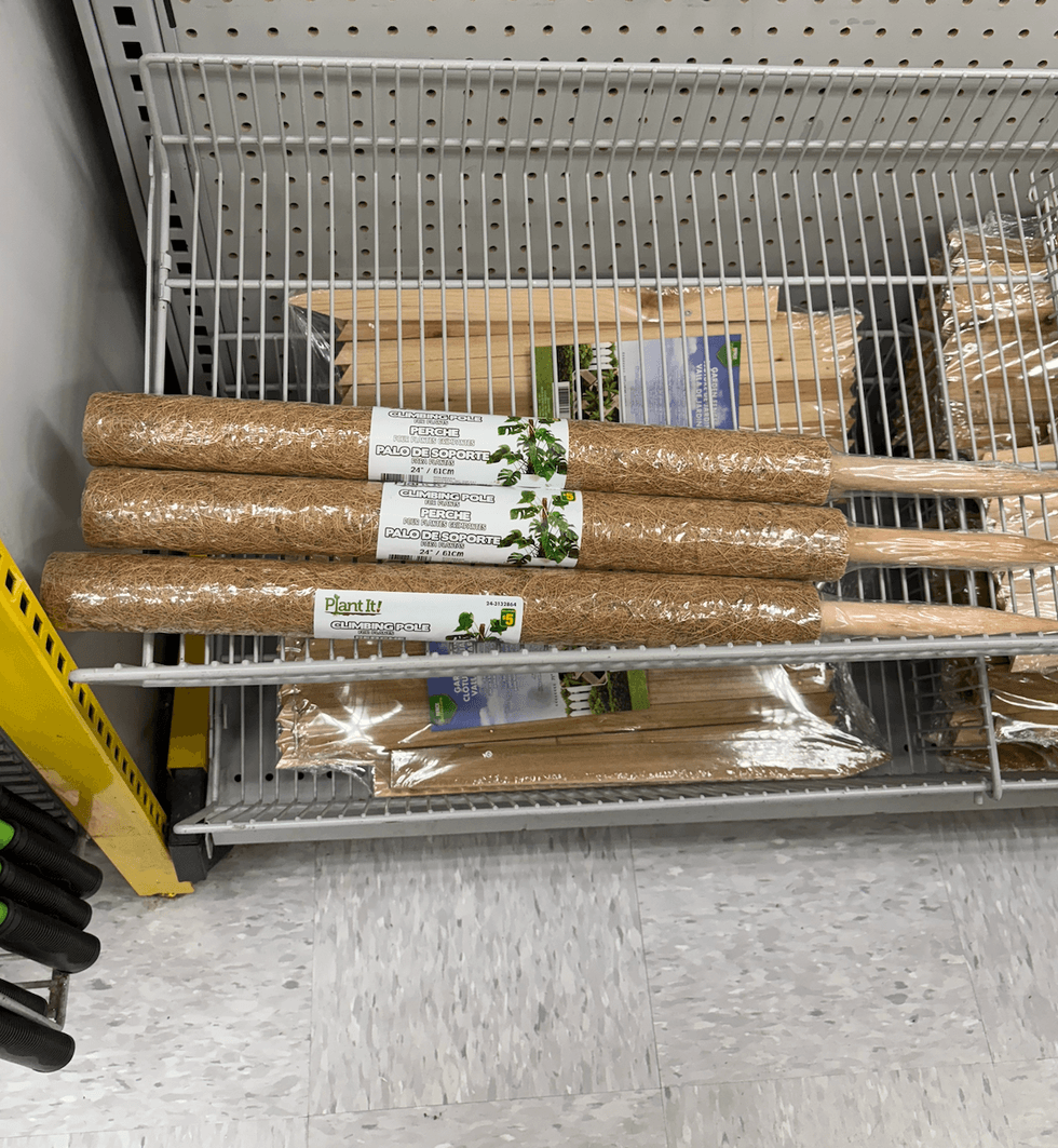 Perche pour plantes grimpantes sur les tablettes du Dollarama.