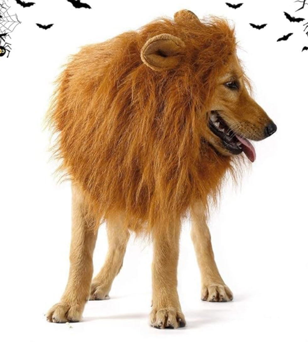 Perruque de crini\u00e8re de lion pour chien et chat.