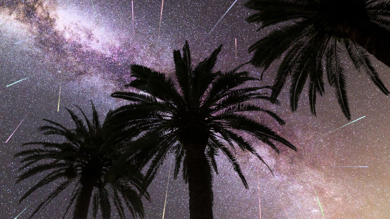 Perseid Meteor Shower Will Light Up Florida Skies This Summer