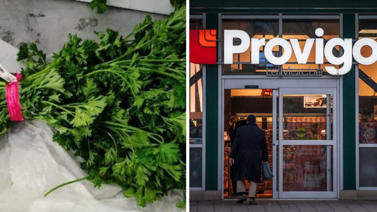 Persil frisé. Droite : Provigo au Québec.