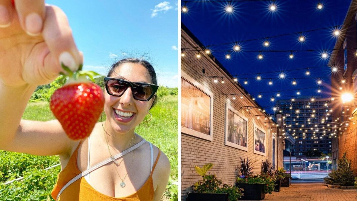 person at big r' apple farm in brampton. right: brampton laneway with public art