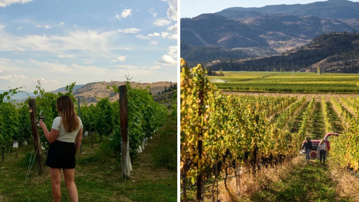 Person at Culmina Family Estate Winery. Right: A winery in B.C.