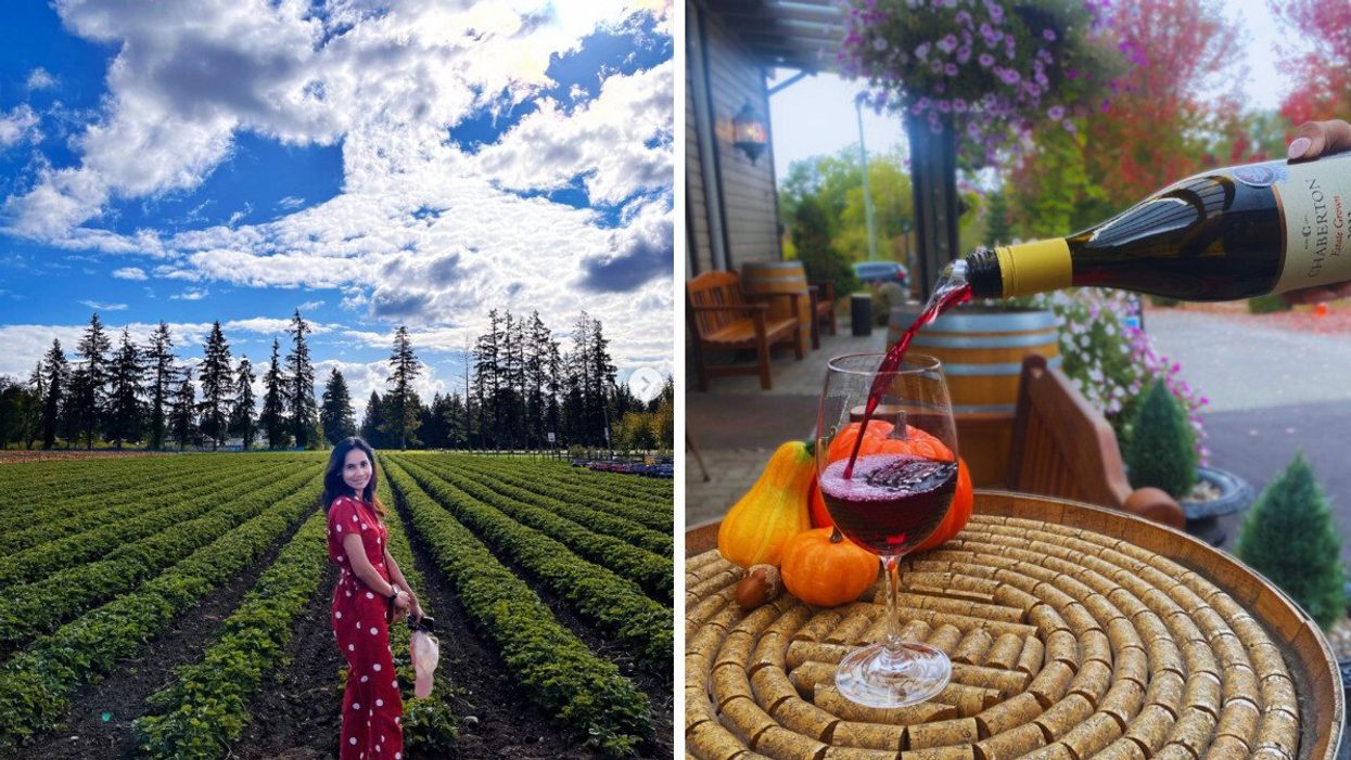 Person at Krause Berry Farms & Estate Winery in B.C. Right: Wine at Chaberton Winery.