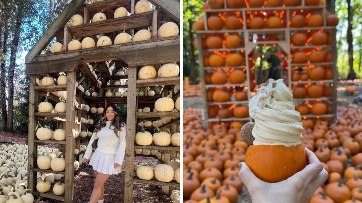 Person at Maan Farms in the fall. Right: Maan Farms pumpkin patch near Vancouver, B.C.