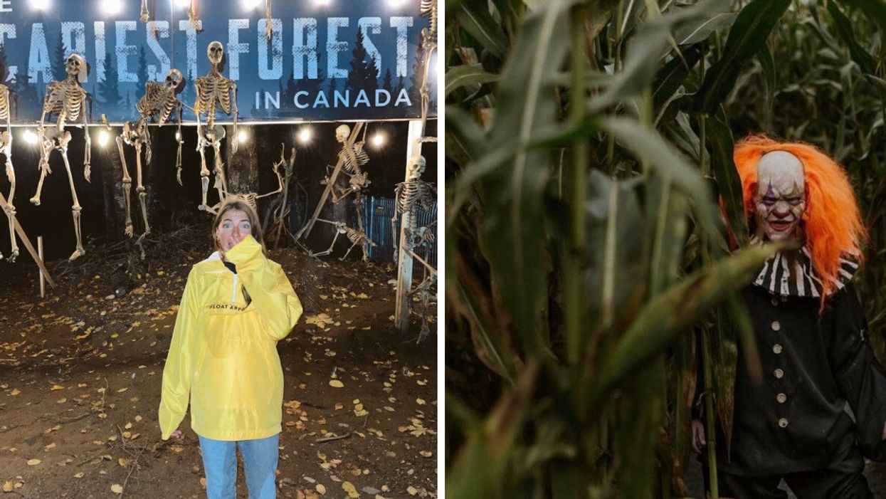 Person at Maan Farms scary corn maze. Right: Maan Farms corn maze.