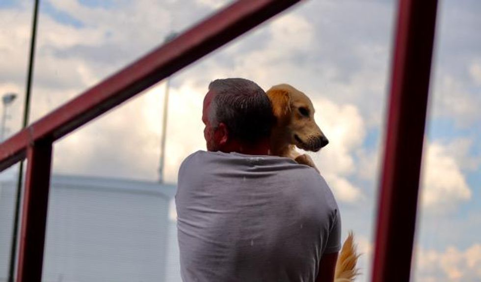Person carrying a dog at Toronto Pearson Airport.