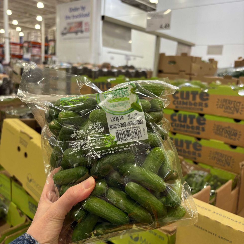 person holding bag of mini cucumbers at costco