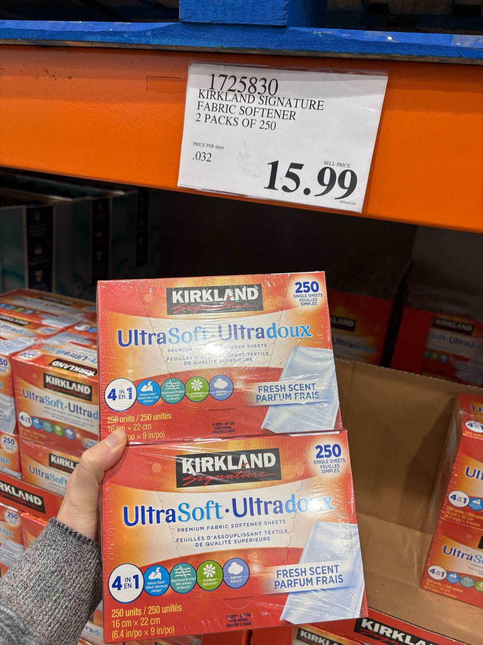 person holding box of kirkland signature dryer sheets