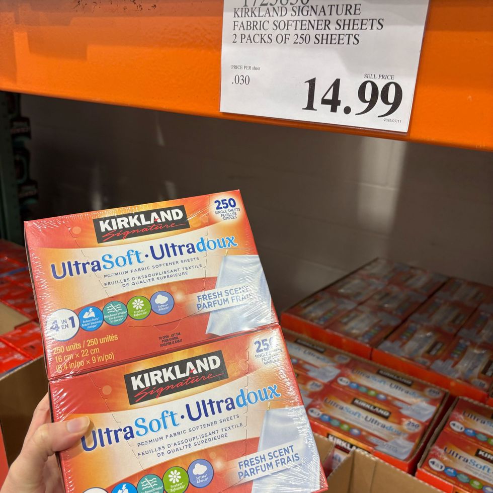 person holding box of Kirkland Signature dryer sheets