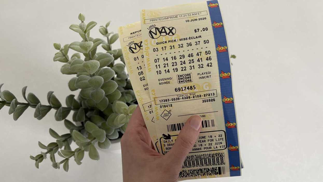 person holding lotto max tickets over green plant