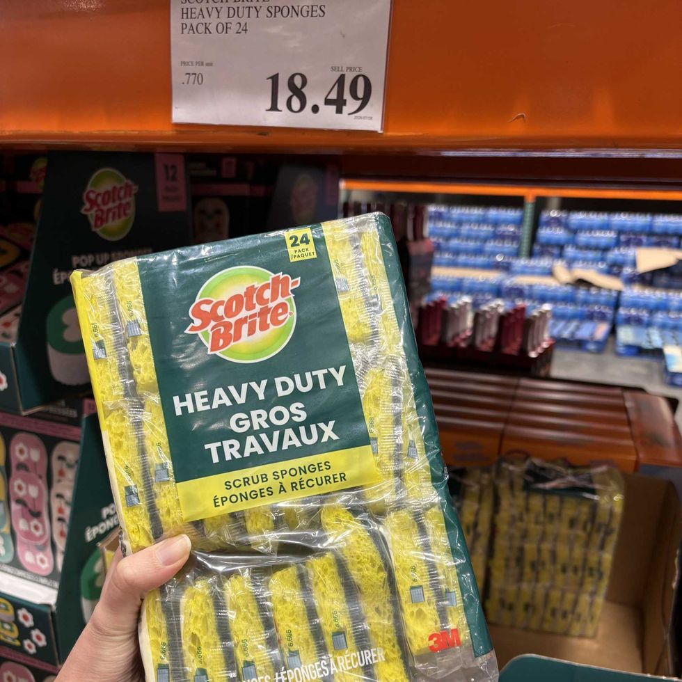 person holding pack of Scotch-Brite heavy-duty sponges at Costco