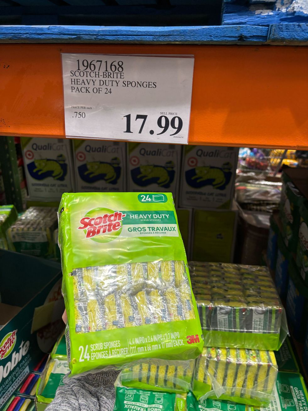 person holding pack of sponges at costco
