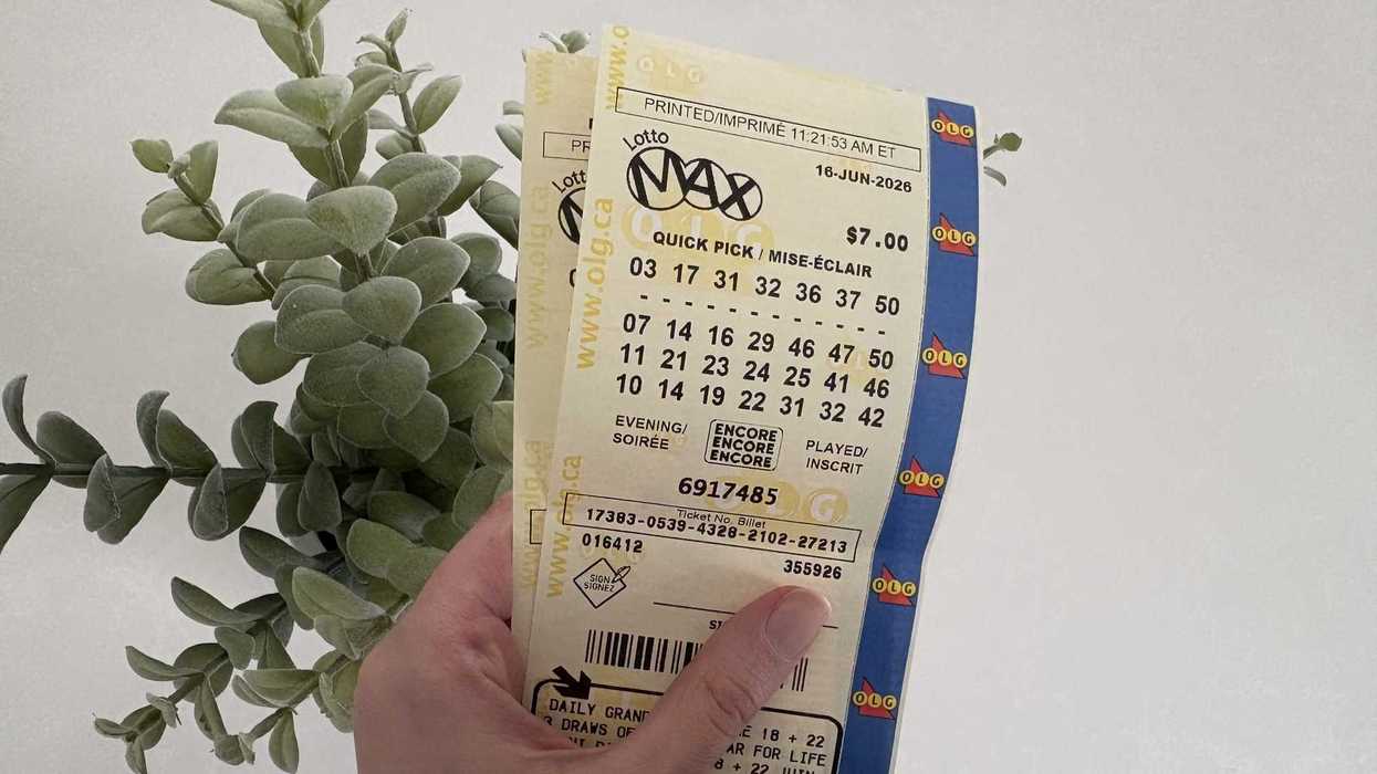 person holding two olg lotto max tickets above green plant