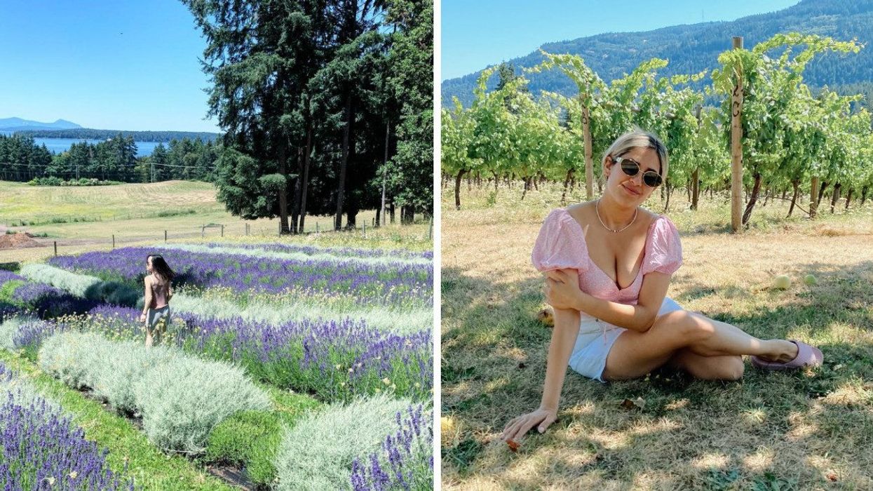Person in a lavender farm. Right: Person in a winery.