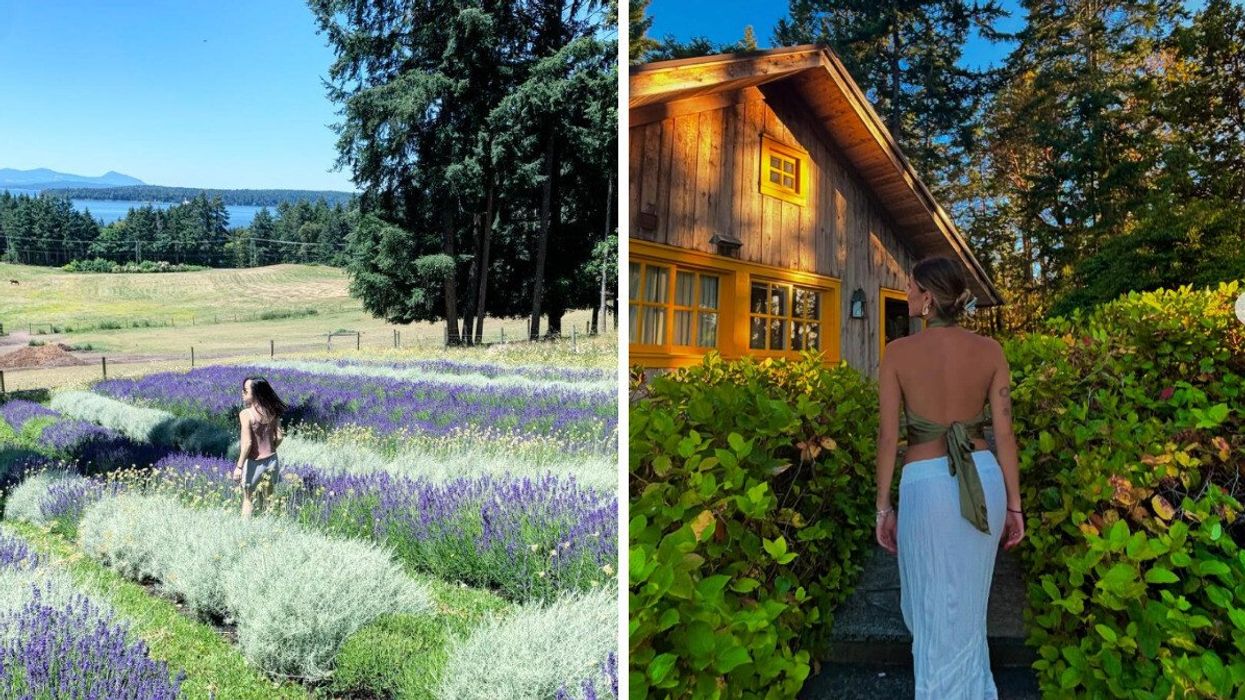 Person in a lavender field. Right: Someone on an island in BC.