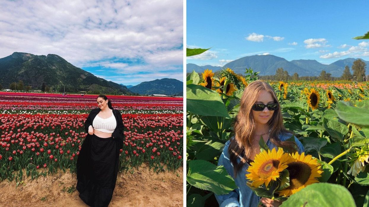 Person in a tulip field/ Right: Someone holding sunflowers.
