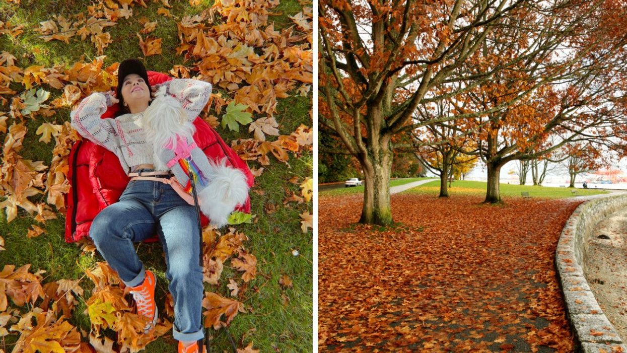Person in Stanley Park. Right: Stanley Park in the fall.