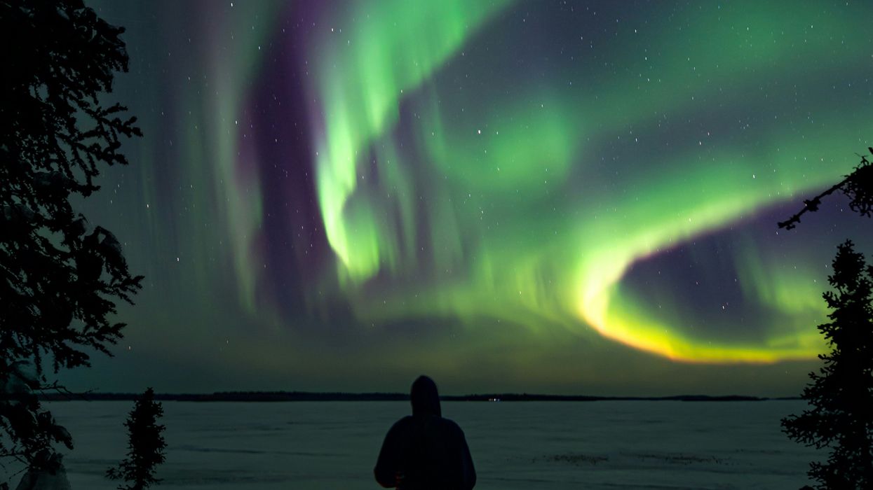 person looking at northern lights in the sky above a lake in saskatchewan
