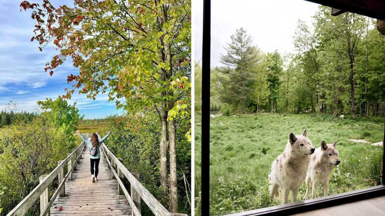 Person on a boardwalk. Right: Park Omega.
