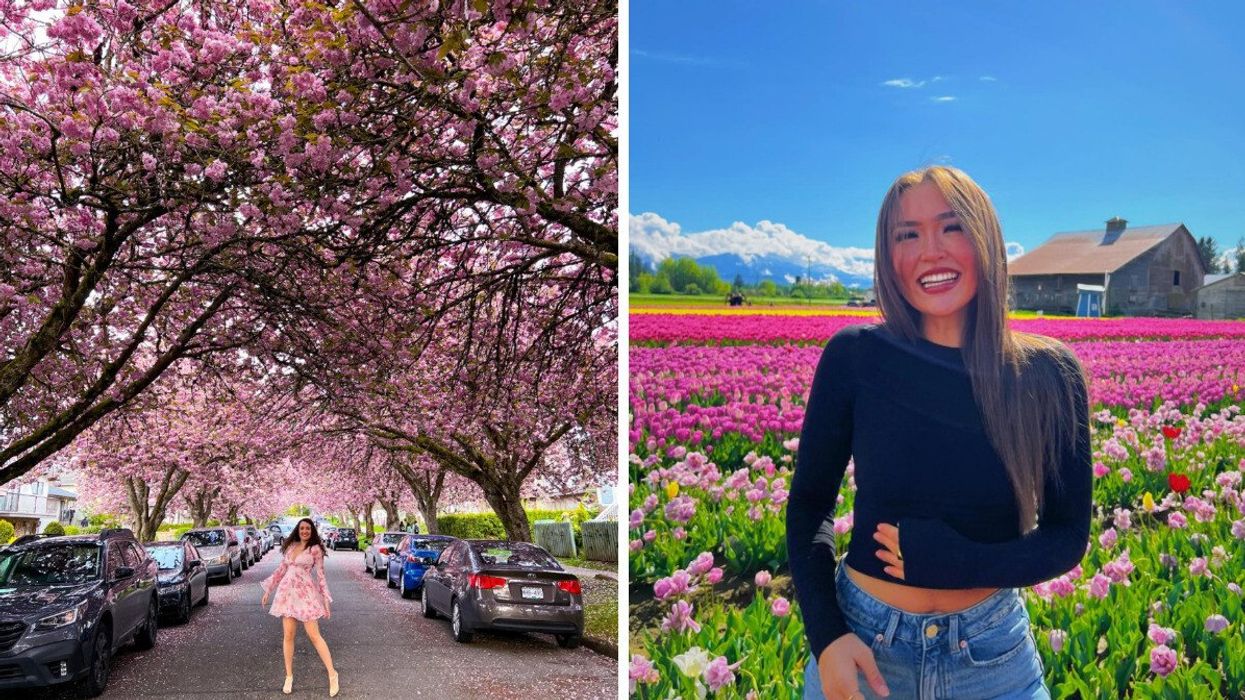 Person on a street with cherry blossoms. Right: Someone in a tulip field.