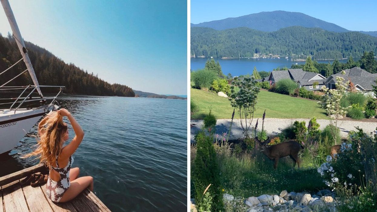 Person sitting on dock by ocean. Right: Deer in grass in front of with mountains and ocean.