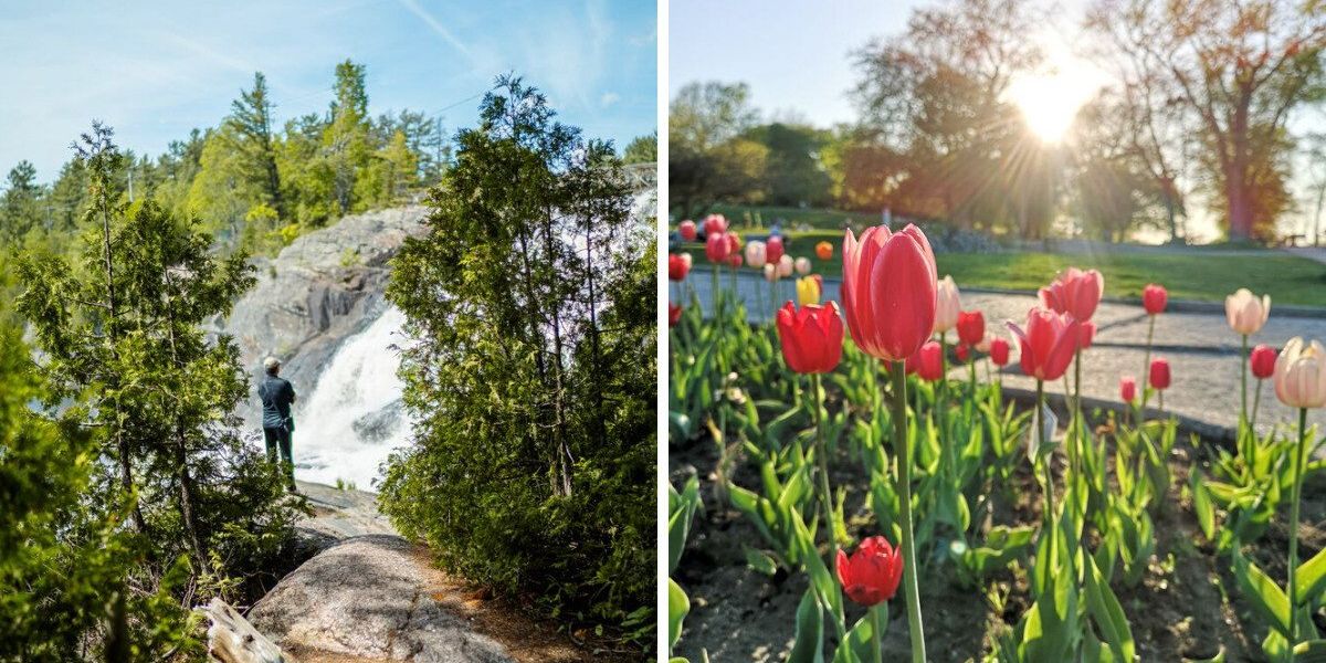 Canada's Month-By-Month Spring Forecast Reveals When Warm Weather Will ...