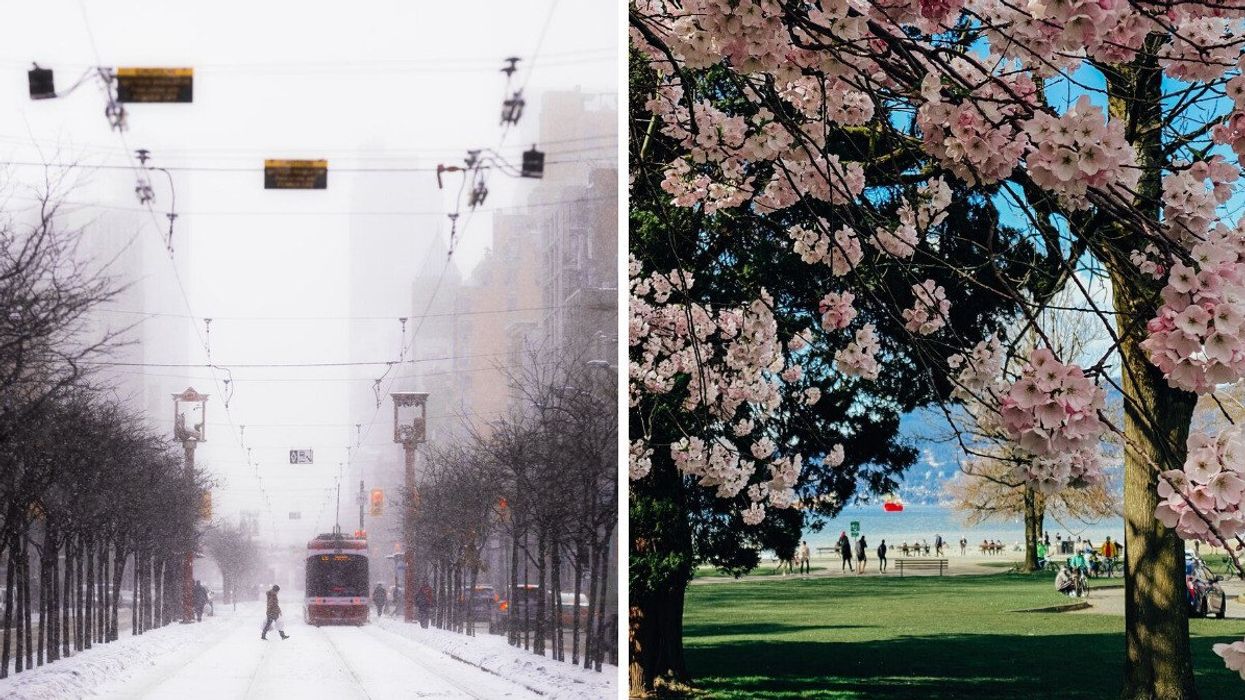 Person walking across the road as a streetcar passes in Toronto. Right: People at a beach with cherry blossom trees in Vancouver.