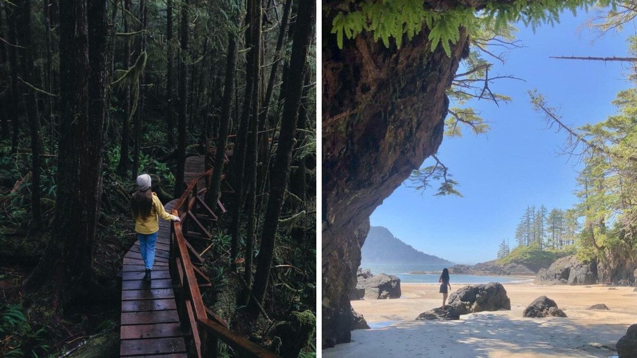 Person walking in a rainforest. Right: A beach.