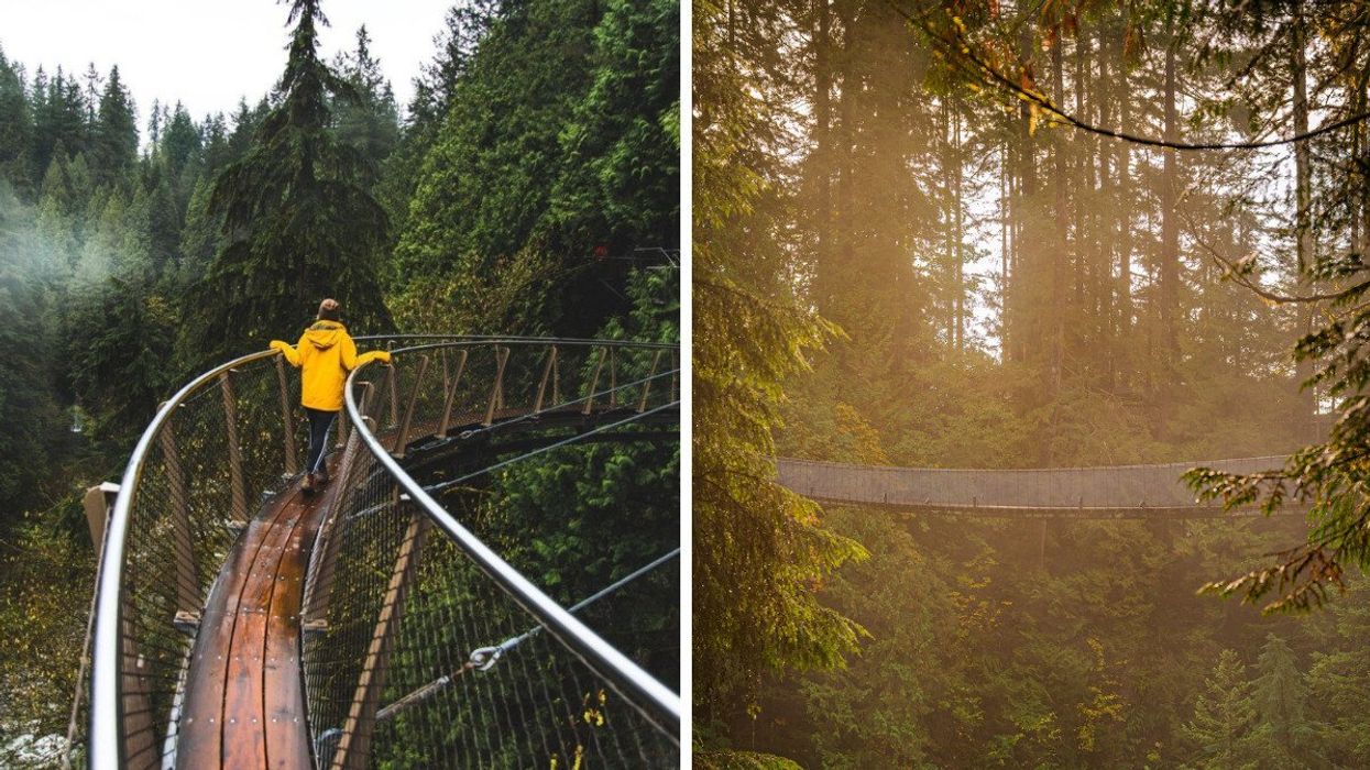 Person walking in the forest. Right: A suspension bridge in the woods.
