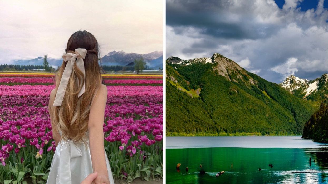 Person walking through a flower field. Right: A lake and mountains.