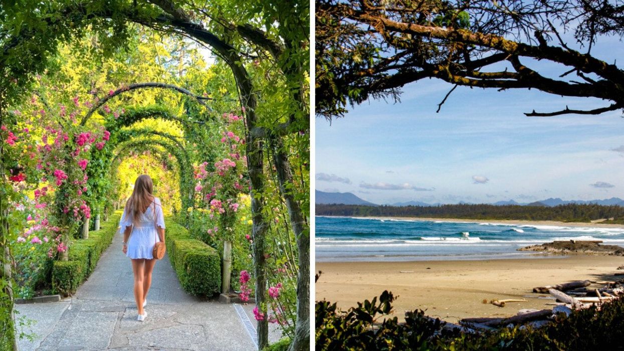 Person walking through a garden. Right: A beach view from a forest.