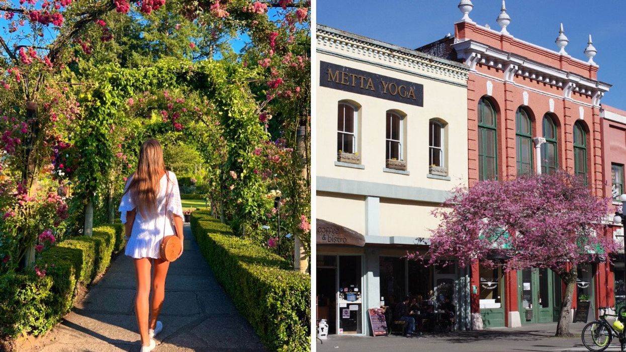 Person walking through a garden. Right: Buildings on a street.