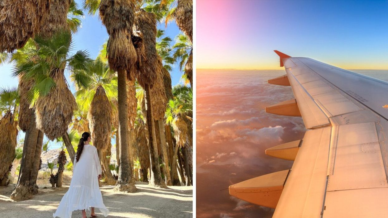 Person walking through palm trees. Right: A wing of a plane.