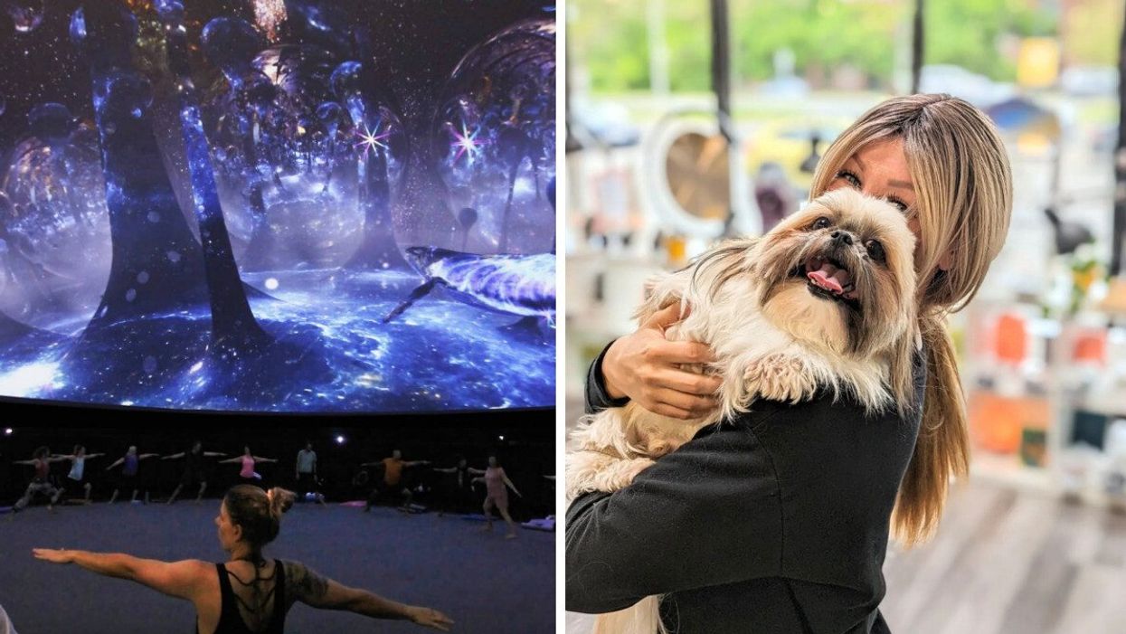 Personnes faisant du yoga dans un dôme immersif. Droite : Femme avec un chien.